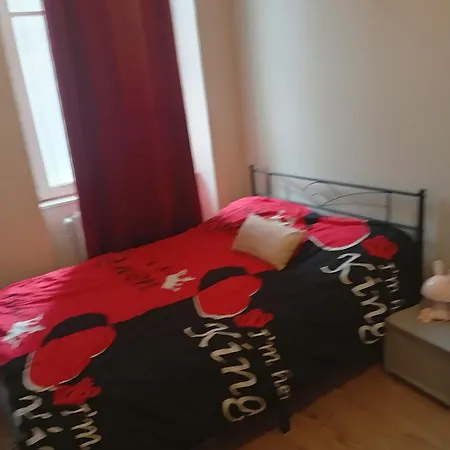 Appartamento En Plain Centre Saint-Etienne (Loire)
